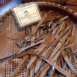 战火灭绝了古老手艺,这个日本工匠执意拯救它,成就世上还在制作最好的丝织品